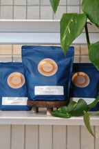 1KG Pre-Dried Pharmaceutical-Grade Salt